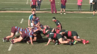 Dilworth 1st XV highlight Round 2 Auckland Unitec Cup 2016