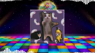 happy happy happy cat REMIX! (Audio Oficial) HD