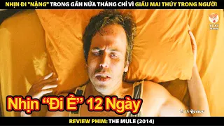 Nhịn Đi "Nặng" Trong Gần Nửa Tháng Chỉ Vì Giấu Mai Thúy Trong Người | Review Phim The Mule 2014