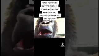 мем номер 448#