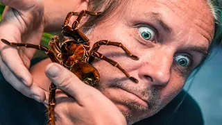 WORLDS LARGEST TARANTULA ON MY FACE!! WHY YOU SHOULDN'T FEAR ANIMALS | BRIAN BARCZYK