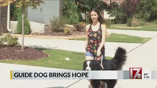 MIRA guide dogs change lives of blind children