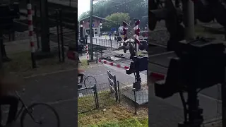 Woman ignores train barriers, nearly gets hit #shorts