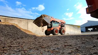 Dairy Farming in the Summer Heat | Full Day of Work