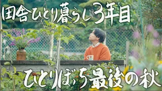 【田舎ひとり暮らし】大好きなお家に引きこもる29歳田舎暮らし男の秋の過ごし方 #186