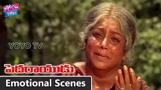 Emotional Scene | Pedarayudu Telugu Movie | Rajnikanth | MohanBabu | Soundarya | YOYO Cine Talkies