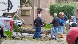 Neighbors jump in to help Bay Area man trapped by large fallen tree