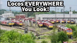 100+ LOCOS onsite at Toton - Plus 37608 and 66783 'Flying Dustman' Passing Through