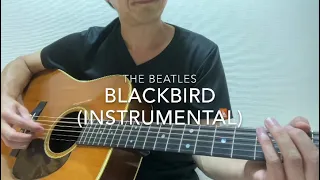 Blackbird  The Beatles Cover (featuring Martin D-28 1966)