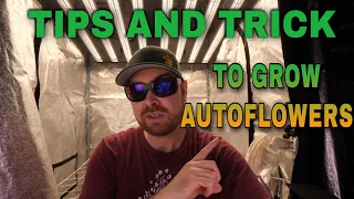 AUTOFLOWER INFO - QUESTIONS AND ANSWERS TIPS AND TRICK