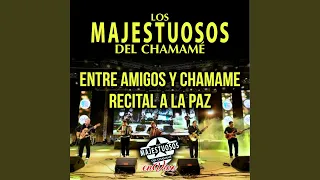 Entre Amigos y Chamamé / Recital a la Paz (En Vivo)