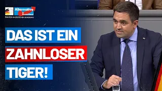 Ihr Antrag ist nichts als ein zahnloser Tiger! Dr. Malte Kaufmann - AfD-Fraktion im Bundestag