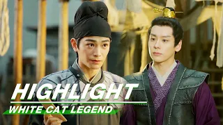 Highlight EP10:Qiu Qingzhi's Past Reveals | White Cat Legend | 大理寺少卿游 | iQIYI