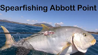 Spearfishing Abbott Point