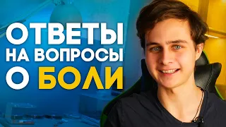 ВСЕ ЛИ ЖИВОТНЫЕ ЧУВСТВУЮТ БОЛЬ? Ответы на вопросы к видео о боли у насекомых  Димон и пумба