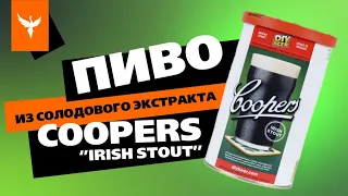 Пиво из солодового экстракта COOPERS Ирландский Стаут (Irish Stout) на дрожжах S-33