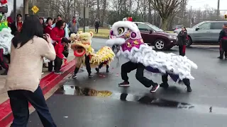 Lunar New Year Lion Dance at Jack's Fortune Jow Ga Kung Fu