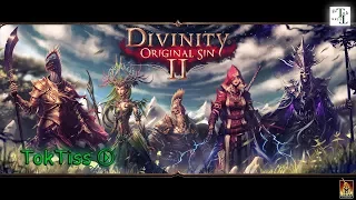 Смесь Diablo и Xcom что ли ◉ Stream - Divinity: Original Sin 2 (сложность тактика)