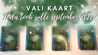 Mida toob september 2022? 🦉✨🍃 Sõnumid & prognoos 🧡 (VALI KAART)