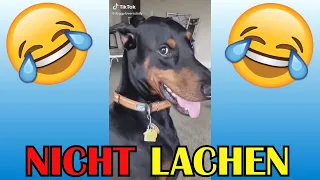 VERSUCHE NICHT ZU LACHEN !!! 🤣🤣🤣 #3