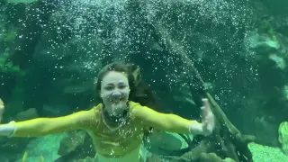 Подводное шоу «Приключение Русалочек» в Крокус Сити Океанариуме