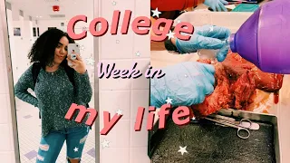 A college week in my life: anatomy and physiology, target, lung lab, etc.