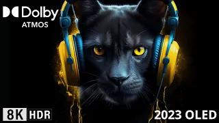 Oled Demo 2023, True Sound DOLBY ATMOS Sound Design, 8K HDR 120FPS!