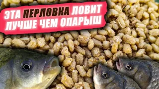 Как сделать ПЕРЛОВКУ для РЫБАЛКИ МАКСИМАЛЬНО ЭФФЕКТИВНОЙ? Такая ПЕРЛОВКА ловит ЛУЧШЕ, чем ОПАРЫШ