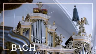 Bach - Fantasia and fugue in C minor BWV 537 - Wiersinga | Netherlands Bach Society