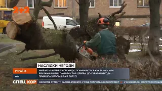 Негода в Україні з сильними поривами вітру