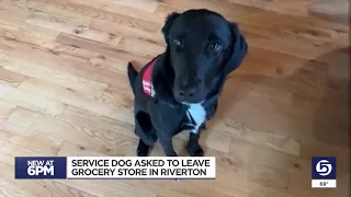 Service animal removed from grocery store. Does the ADA allow that?