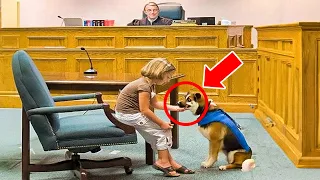 Judge Witnesses Little Girl Signaling Her Dog & Stops Court – Dog's Reaction Is Unexpected!