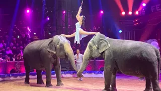 Gli elefanti di Elvis Errani presentati al 46º Festival du Cirque de Monte Carlo (Golden Clown 2024)