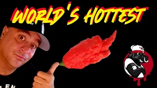 World's Hottest Pepper Carolina Reaper Pepper X KAOS