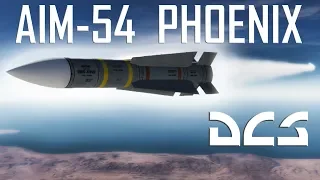 DCS: Notching the Aim-54 Phoenix How to Kill the  F-14 Tomcat.