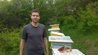 Уроци по пчеларство  залагане на капан за рояци в дадан блат кошер