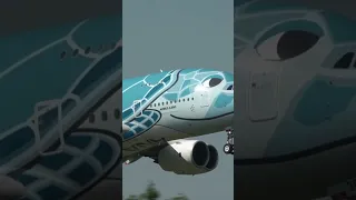 Airbus A380 ANA Airlines Landing