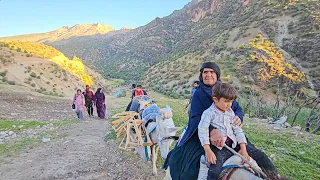 Grandma's family going on a few days trip in a Beautiful village