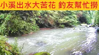 小溪出水大苦花 釣友幫忙撈 @日制G牌神鉤無敵 #苦花 #溪釣 #石斑