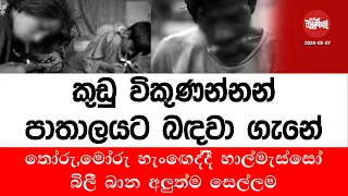 කුඩු විකුණන්නන් පාතාලයට බඳවා ගැනේ | 2024-05-07 | Neth Fm Balumgala