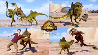 Concavenator Pack Chasing, Hunting, Social and all other epic animations in Cretaceous Predator Pack