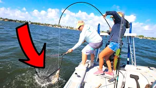 Dropped a Live Shrimp in a Public Waterway- Unexpected Lifetime Catch!