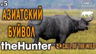 theHunter Call of the Wild #5 🔫 - Охота на Азиатского Буйвола - Калибр 338