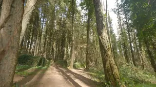 Drone Crashes Into Tree While Following Mountain Bikers Through Forest - 1404332