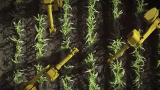 Weed vs. Machine