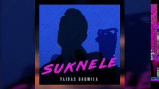 Vaidas Baumila suknele