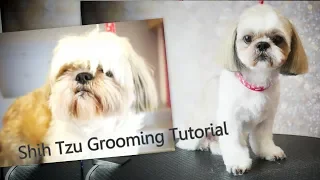 PetGroooming - Shih Tzu Grooming from start to finish #91