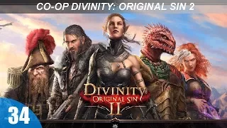 Кооператив Divinity: Original Sin 2 - Спасаемся от Даллис - #34