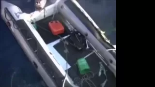 Great white shark attack on RIB boat