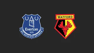 Best moment as an away fan. (Everton 2-5 Watford)